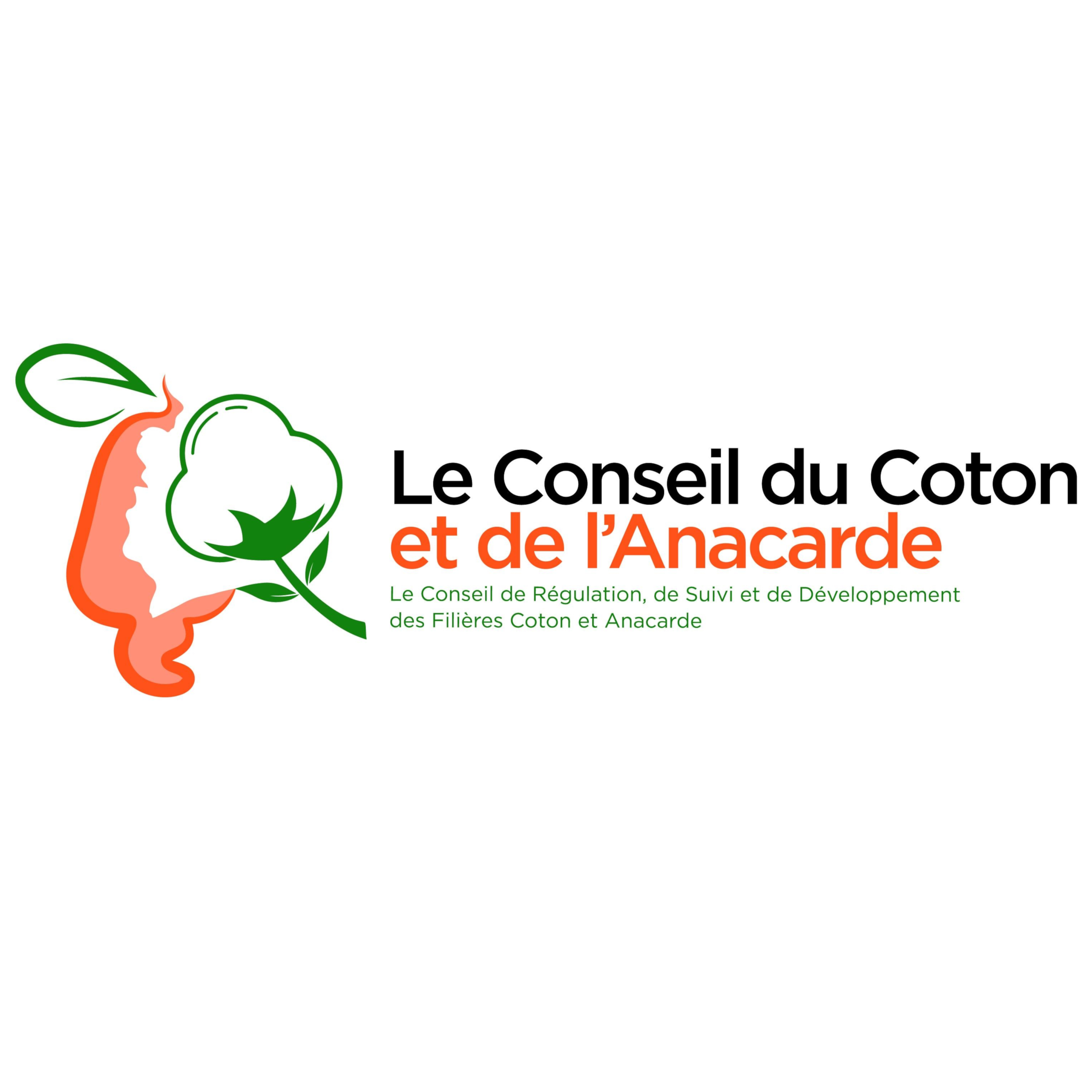 Coton et Anacarde