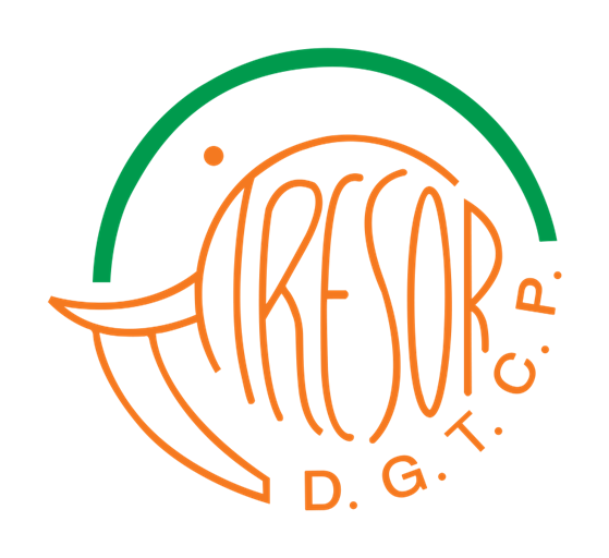 Direction Générale du Trésor et de la Comptabilité Publique